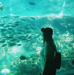 Meet your Posher, Lou